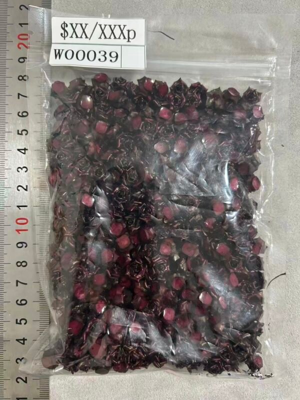 W00039 soft_flower_big